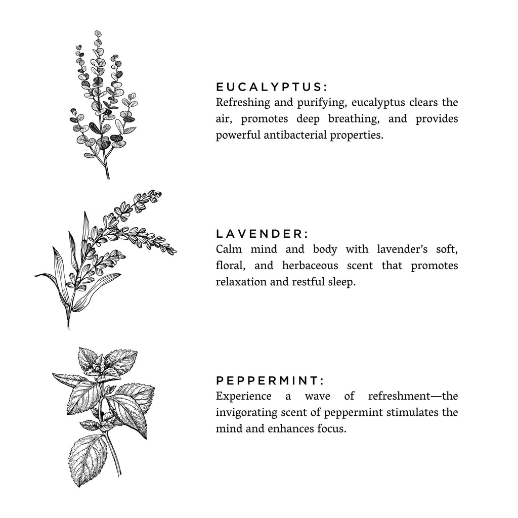 Of The Sea (Eucalyptus + Lavender + Peppermint) - Signature 3-Wick Candle